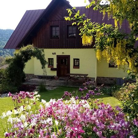 Apartments Vecernik Rokytnice Rokytnice nad Jizerou Esterno foto