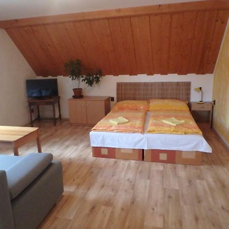 Apartments Vecernik Rokytnice Rokytnice nad Jizerou Esterno foto