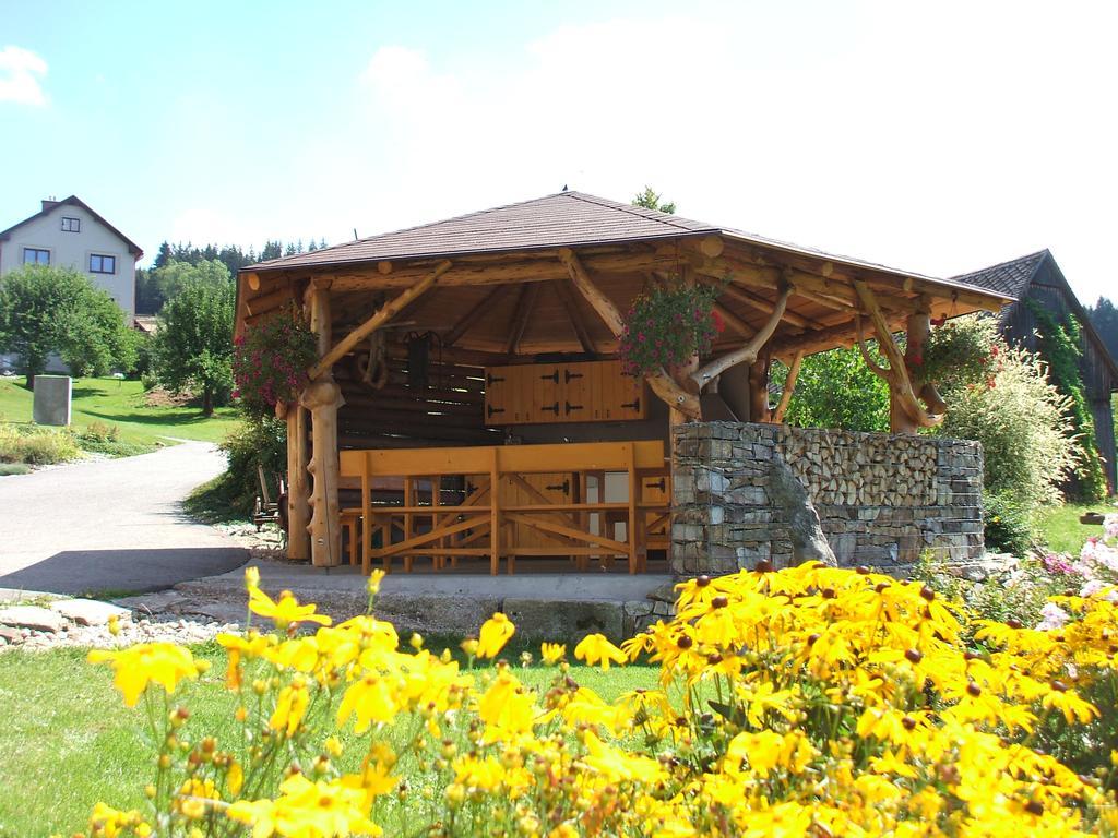 Apartments Vecernik Rokytnice Rokytnice nad Jizerou Esterno foto