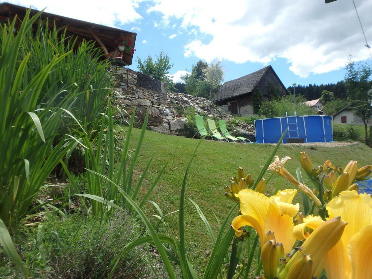 Apartments Vecernik Rokytnice Rokytnice nad Jizerou Esterno foto