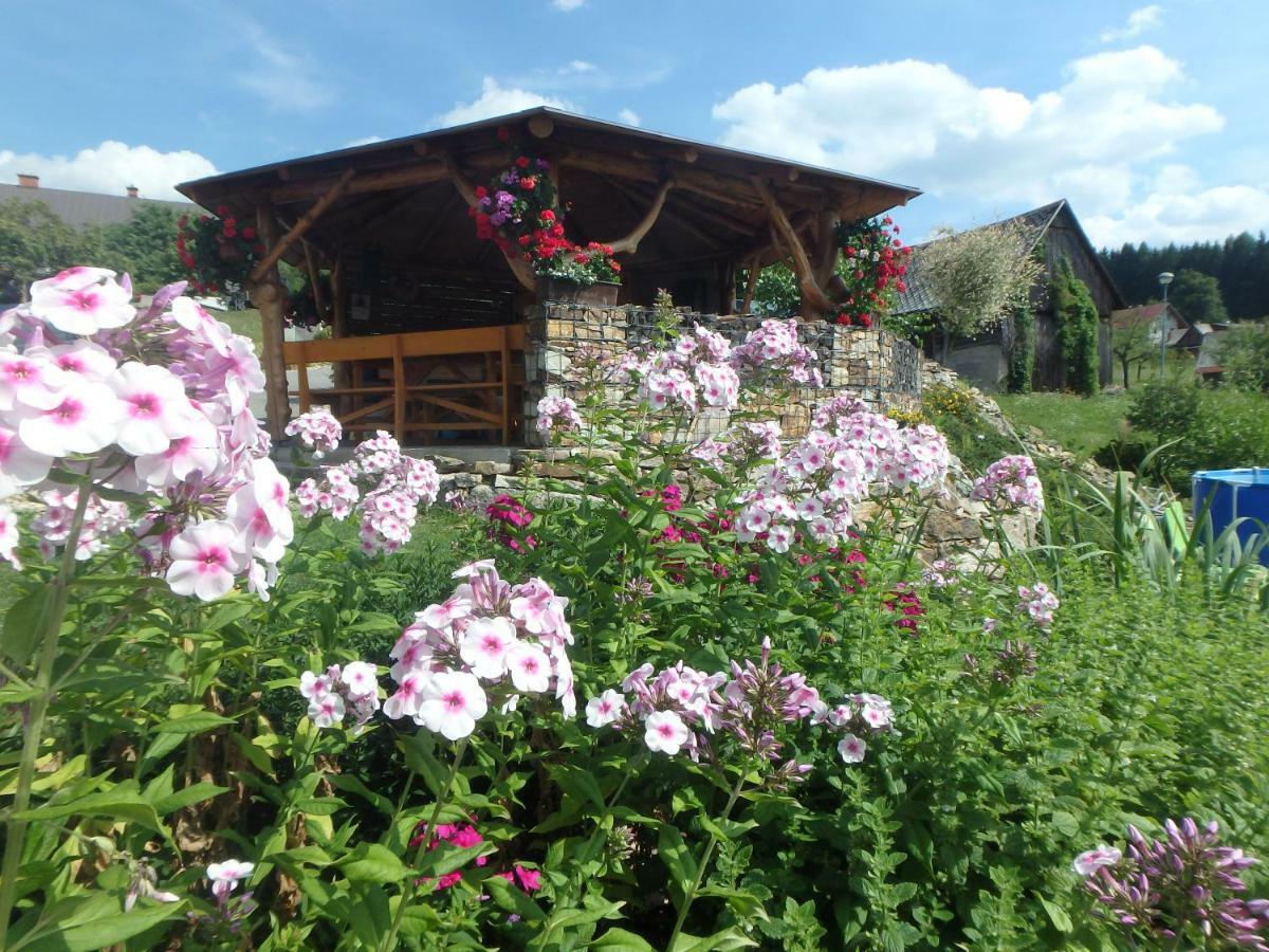 Apartments Vecernik Rokytnice Rokytnice nad Jizerou Esterno foto