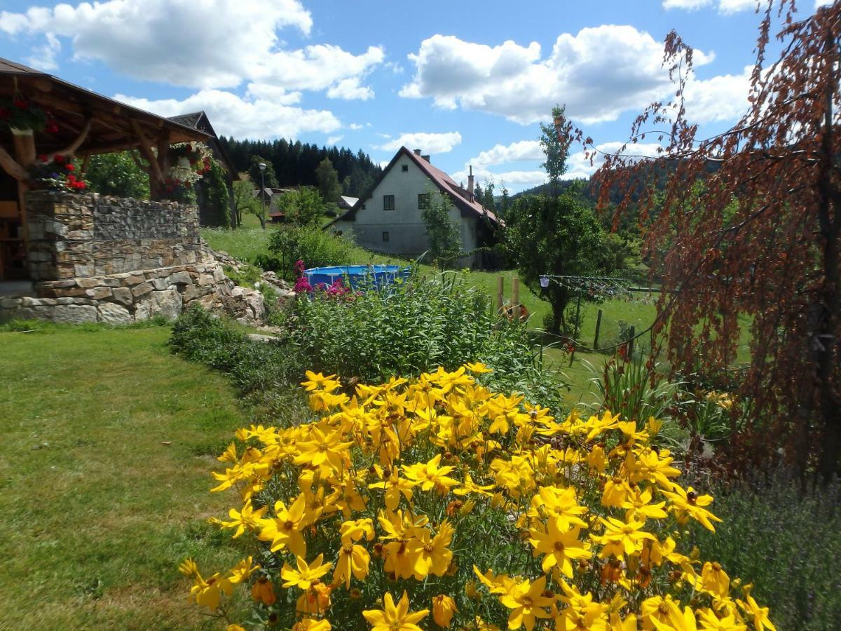 Apartments Vecernik Rokytnice Rokytnice nad Jizerou Esterno foto